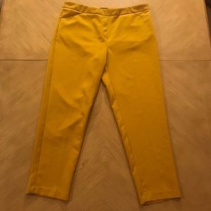 Zac & Rachel Suit Pants